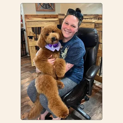 Tori Weaver holding a freshly groomed doodle at Best Friendz Too Grooming in Winston-Salem, NC.